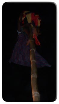 Justice performing on the bamboo pole